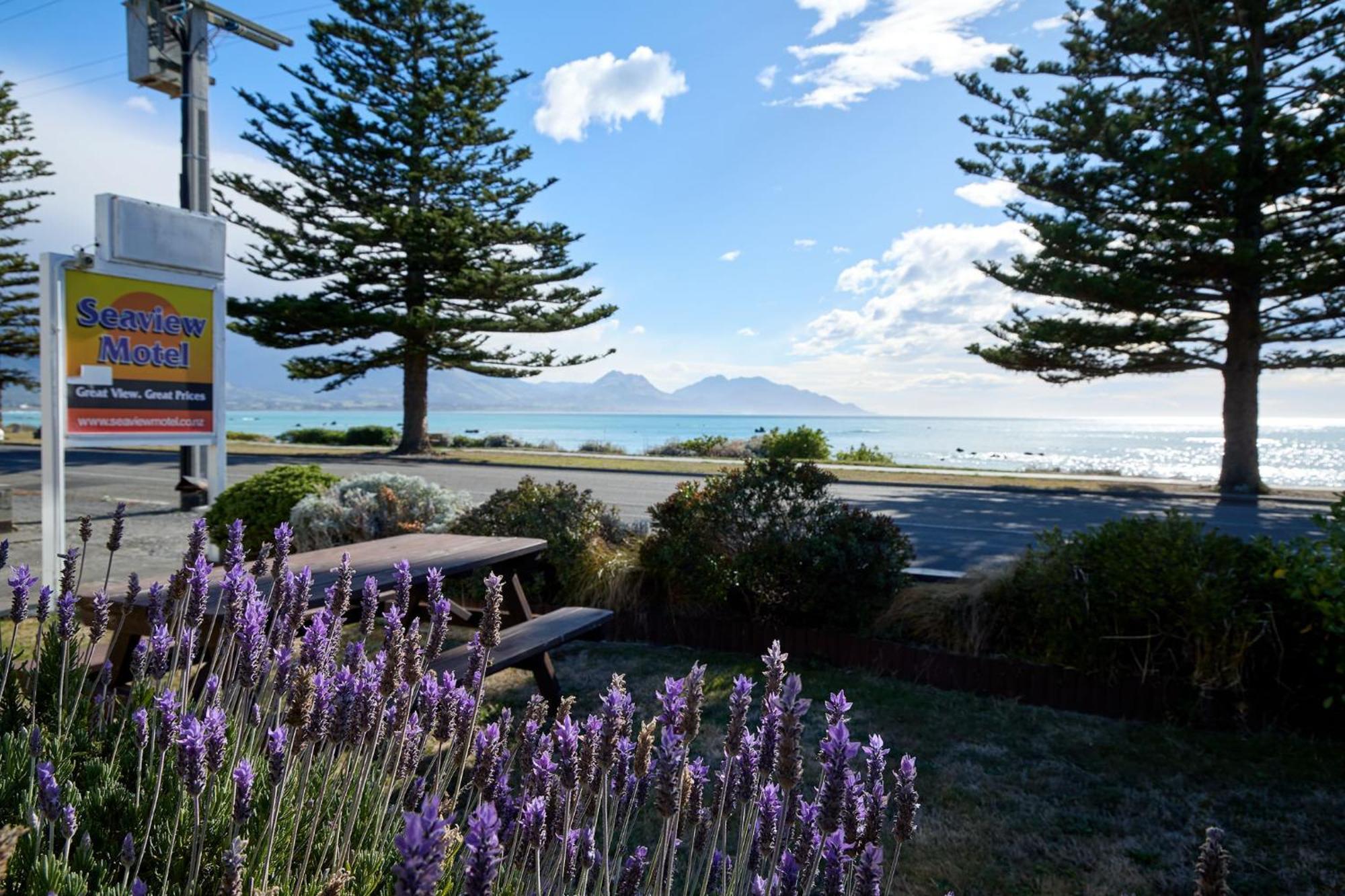 Sea View Motel - Unit 5 Kaikoura Eksteriør bilde